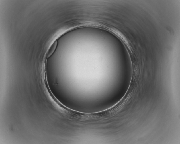 X0000115741391200911121528