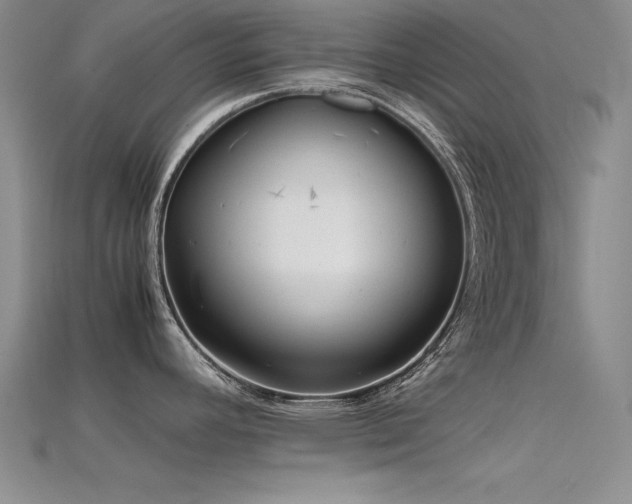 X0000115741392200911121528