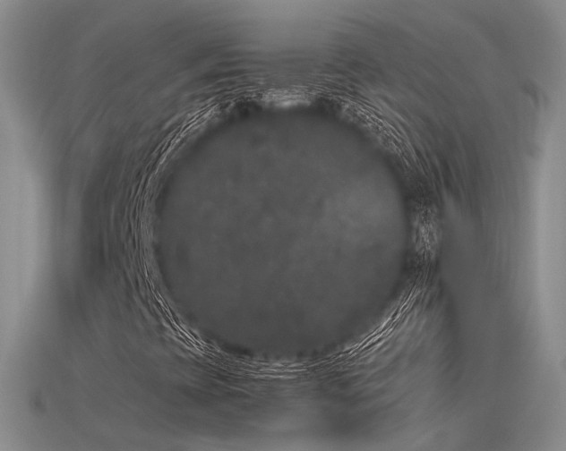 X0000115741393200911121528