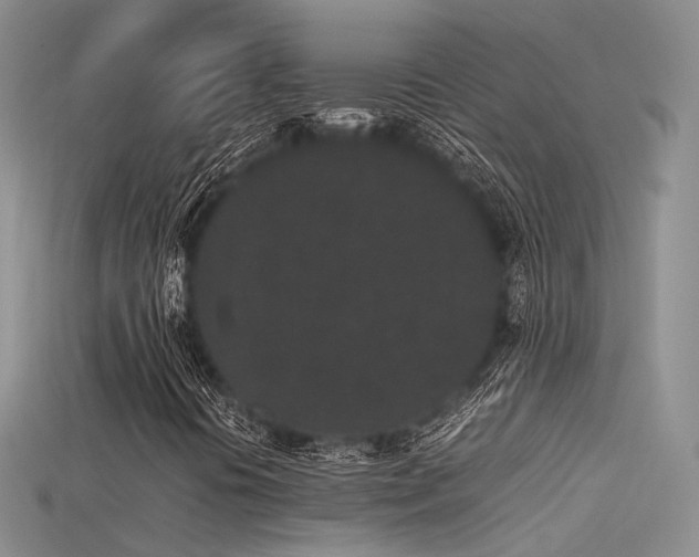 X0000115741394200911121528