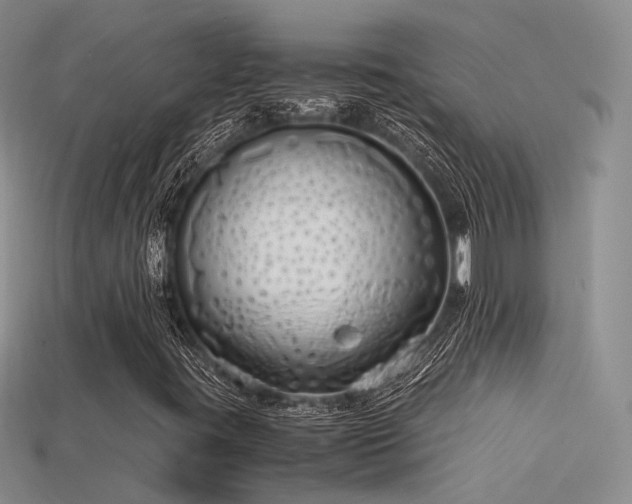 X0000115741395200911121528