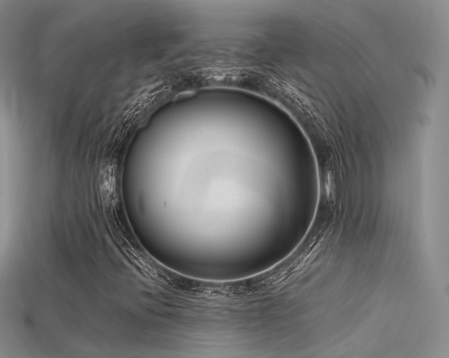 X0000115741396200911121528