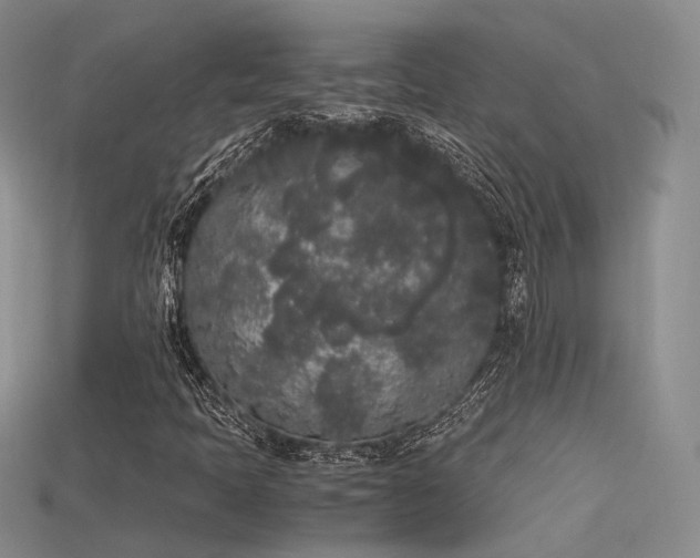 X0000115741397200911121528