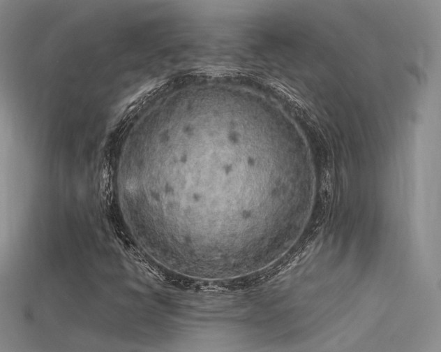 X0000115741398200911121528