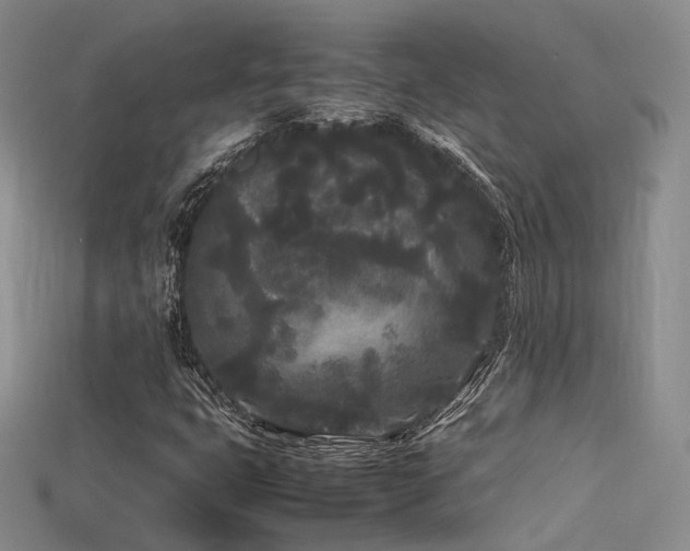 X0000115741399200911121528