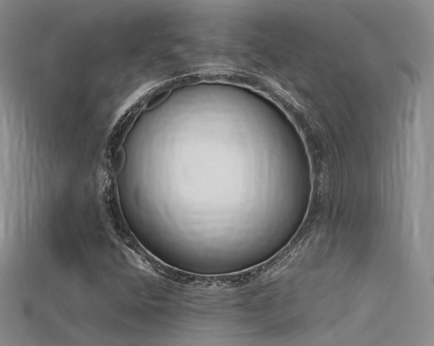 X0000115741400200911121528