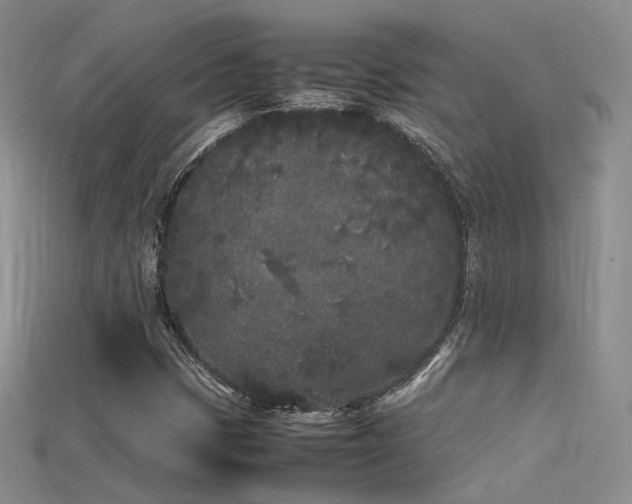X0000115741401200911121528