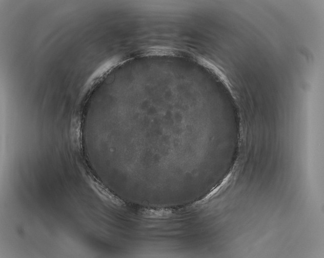 X0000115741403200911121528