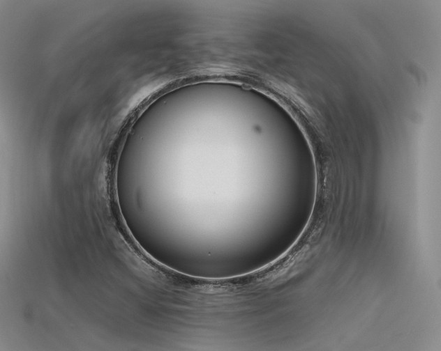 X0000115741404200911121528