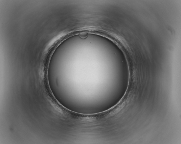 X0000115741406200911121528