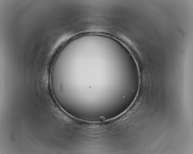 X0000115741408200911121528