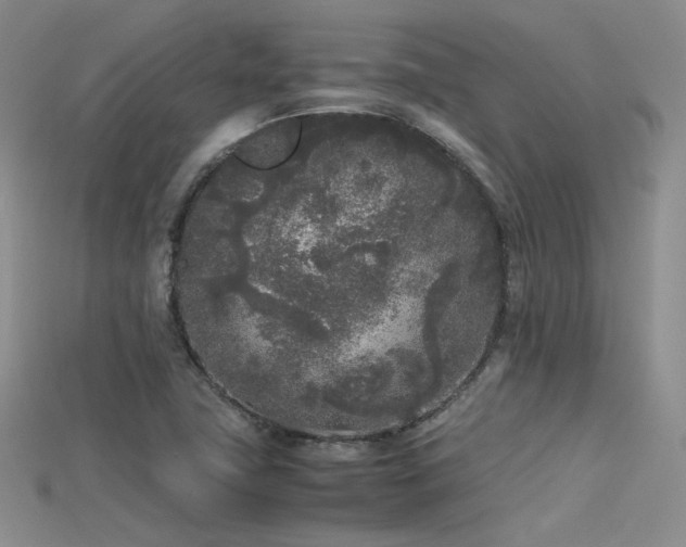 X0000115741411200911121528