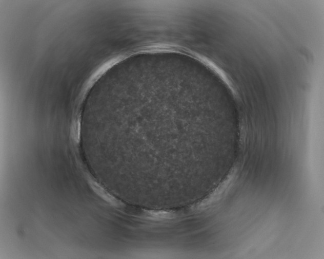 X0000115741413200911121528