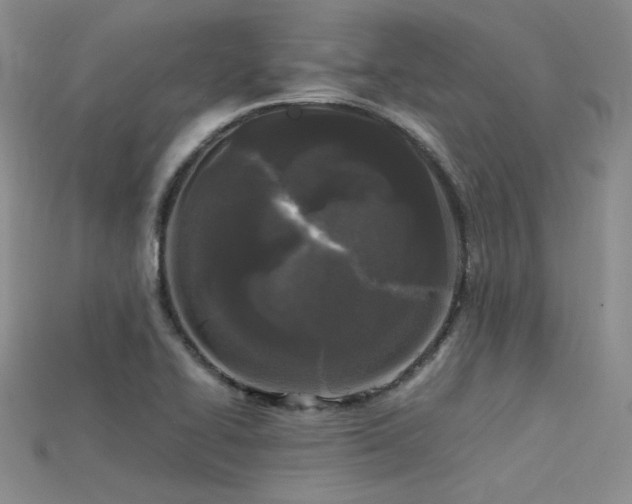 X0000115741414200911121528