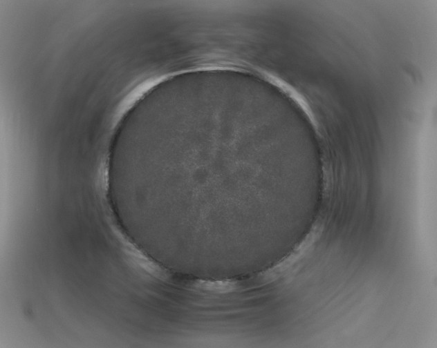 X0000115741415200911121528