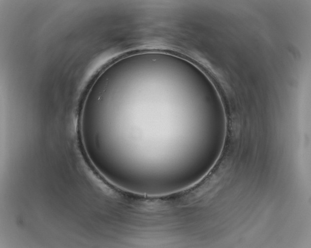 X0000115741416200911121528