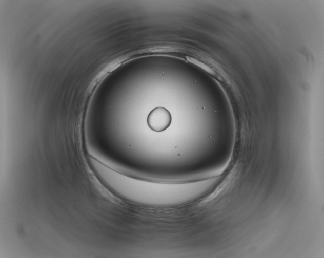 X0000115741417200911121528
