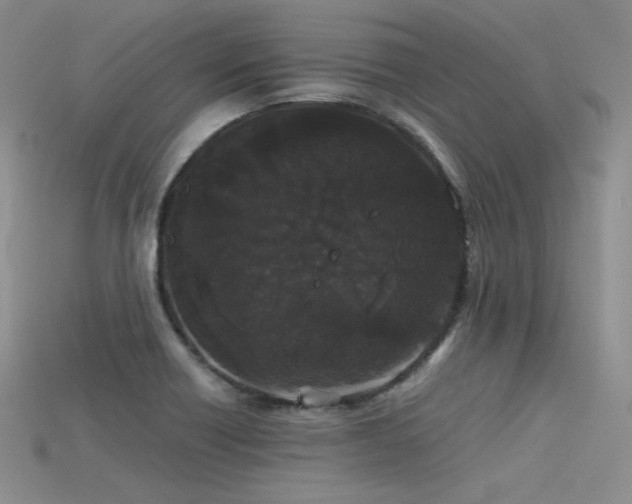 X0000115741418200911121528