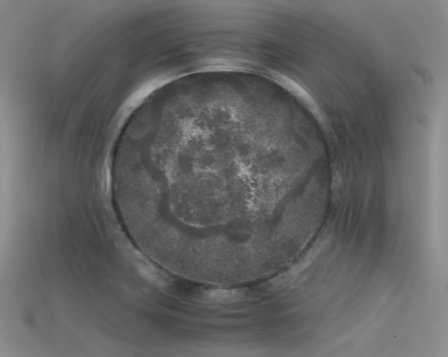 X0000115741419200911121528