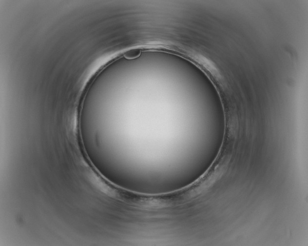 X0000115741420200911121528