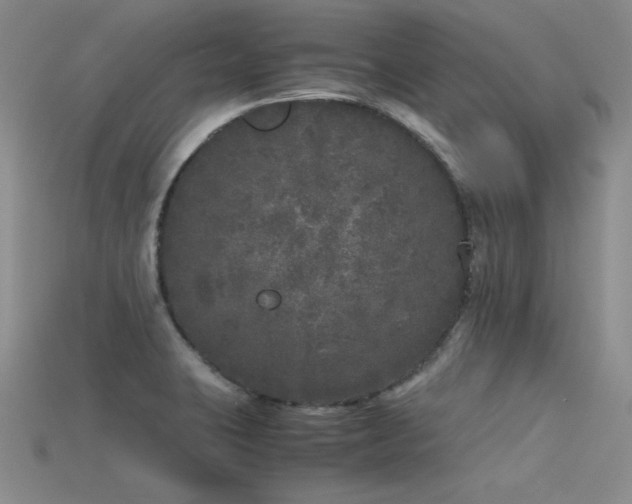 X0000115741423200911121528