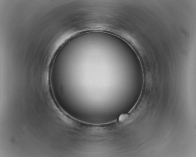 X0000115741424200911121528