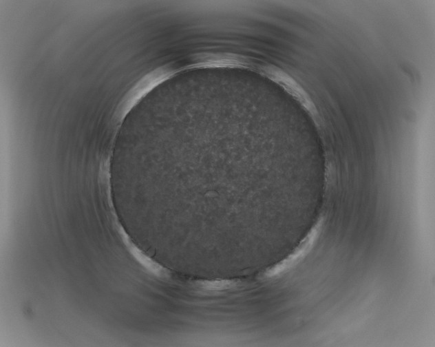 X0000115741425200911121528