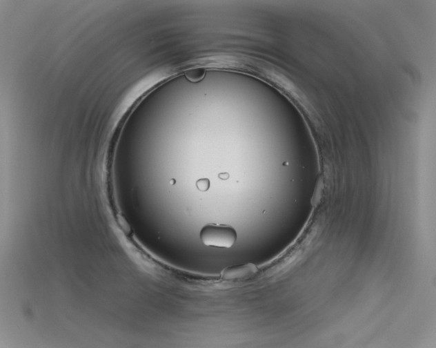 X0000115741426200911121528