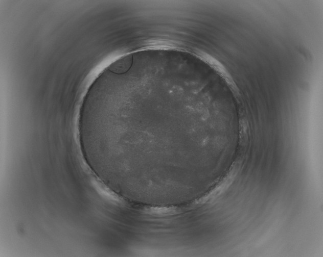 X0000115741427200911121528