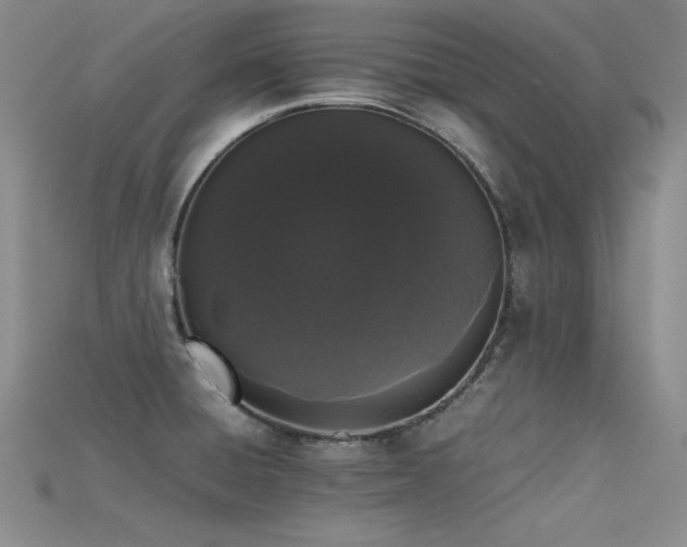 X0000115741428200911121528