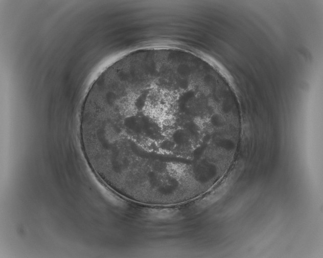 X0000115741429200911121528