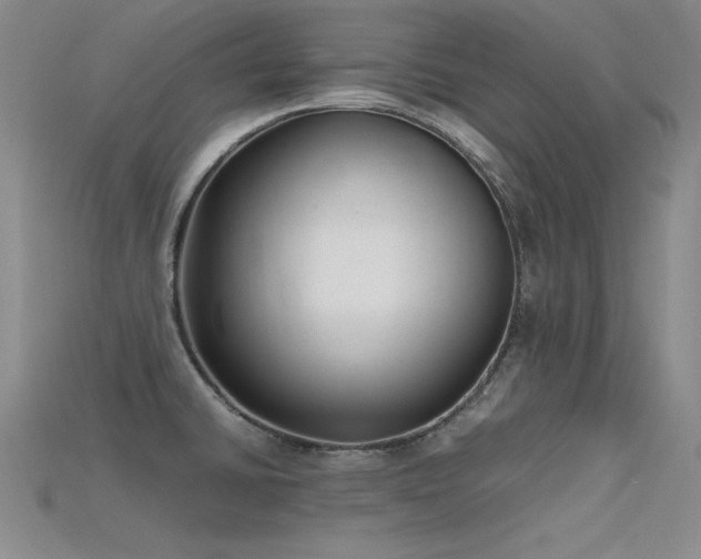 X0000115741430200911121528