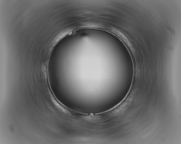 X0000115741433200911121528