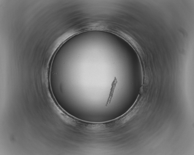 X0000115741434200911121528