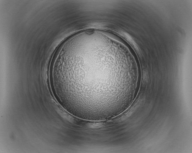 X0000115741435200911121528