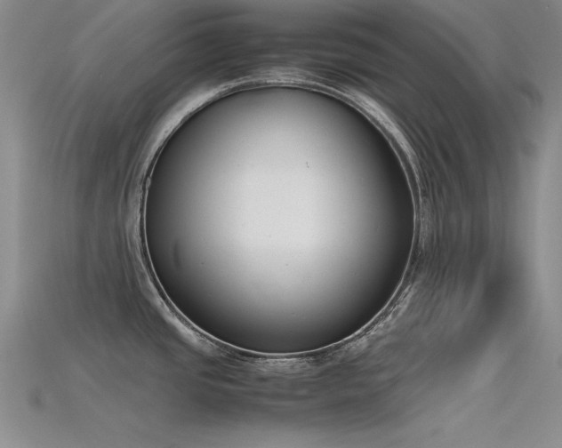 X0000115741437200911121528