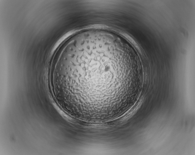 X0000115741438200911121528