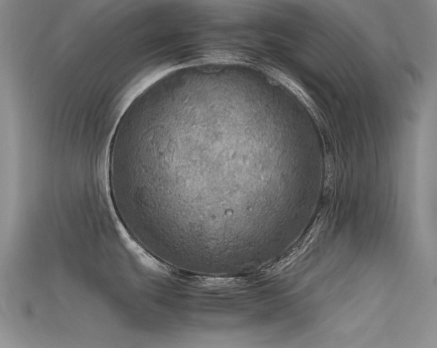 X0000115741439200911121528
