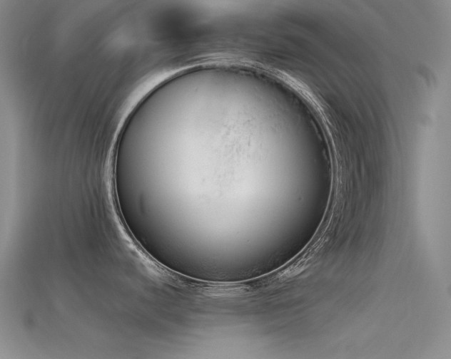 X0000115741440200911121528