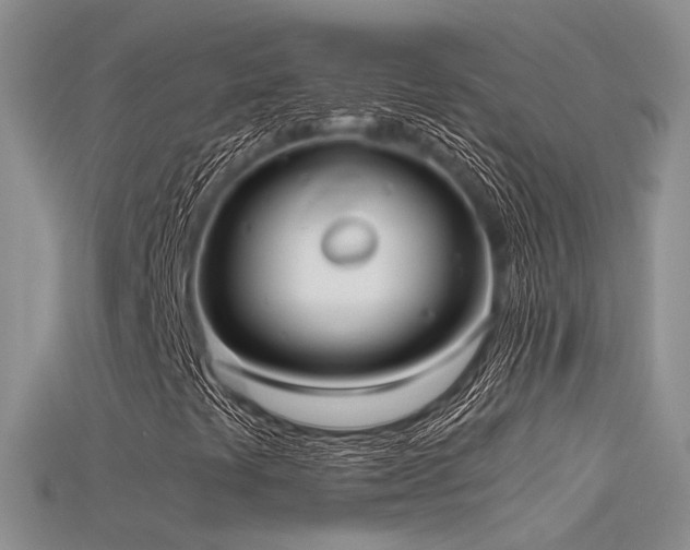 X0000115741441200911121528