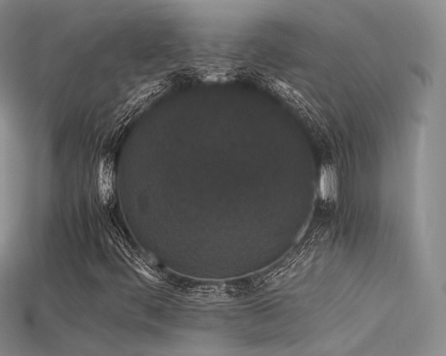 X0000115741444200911121528
