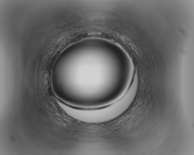 X0000115741445200911121528