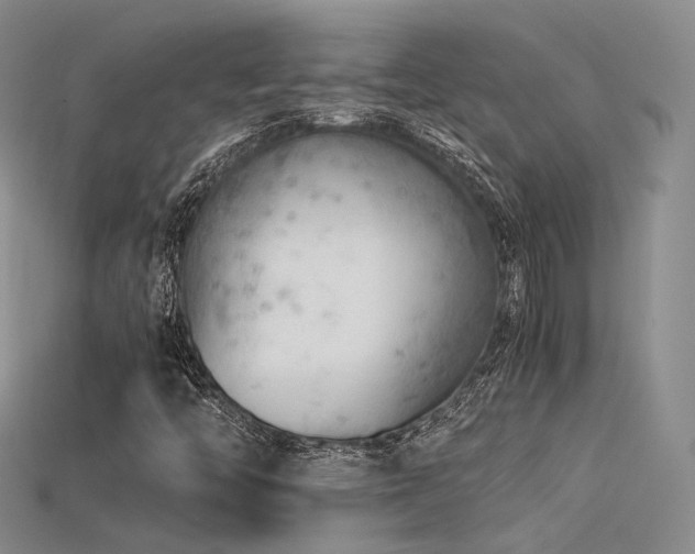 X0000115741446200911121528