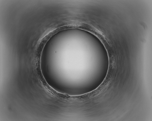 X0000115741448200911121528