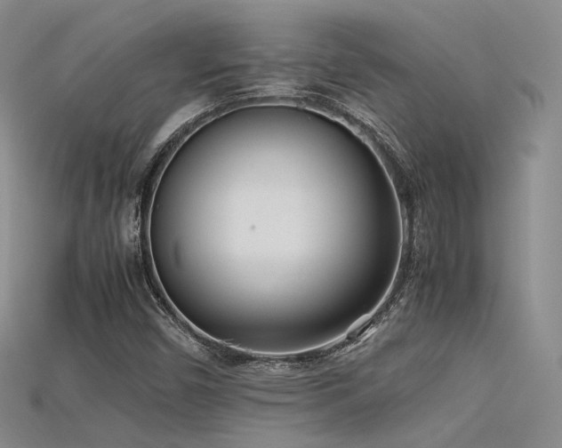 X0000115741450200911121528