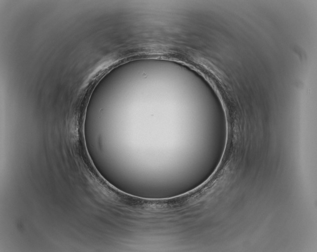 X0000115741451200911121528