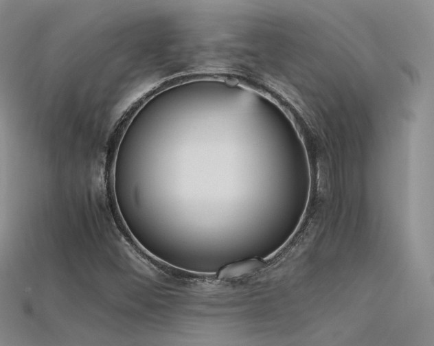 X0000115741452200911121528