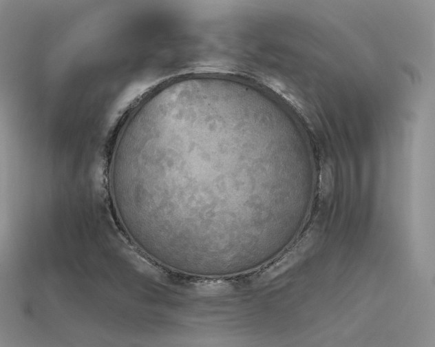 X0000115741454200911121528