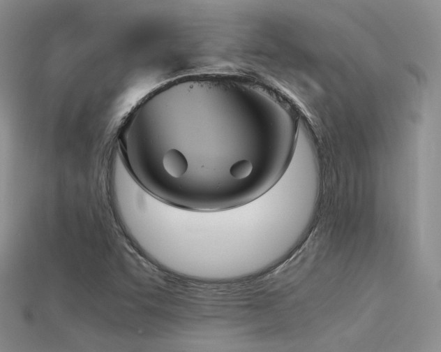 X0000115741455200911121528