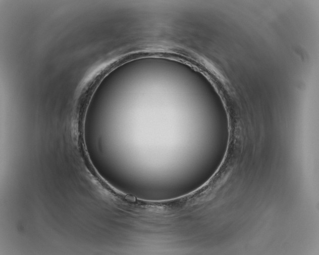 X0000115741456200911121528